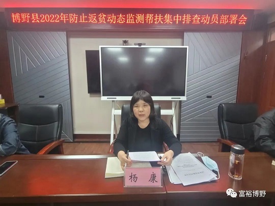图为杨康同志就做好防返贫集中排查讲意见杨康强调,各镇各部门要提高