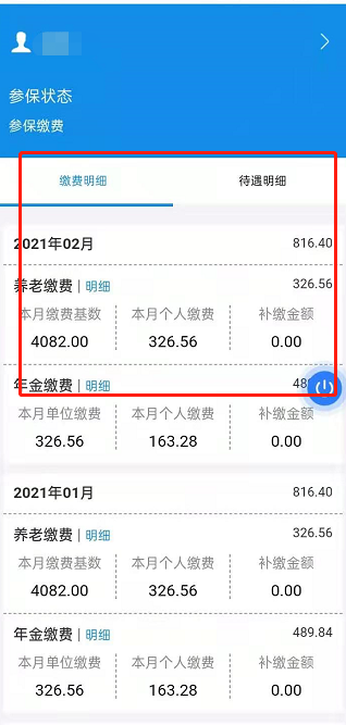 第三步：点开“参保缴费”显示本人“缴费明细”和“待遇明细”